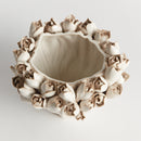 COURTNEY & EVELYN HOME DECOR COLLECTION