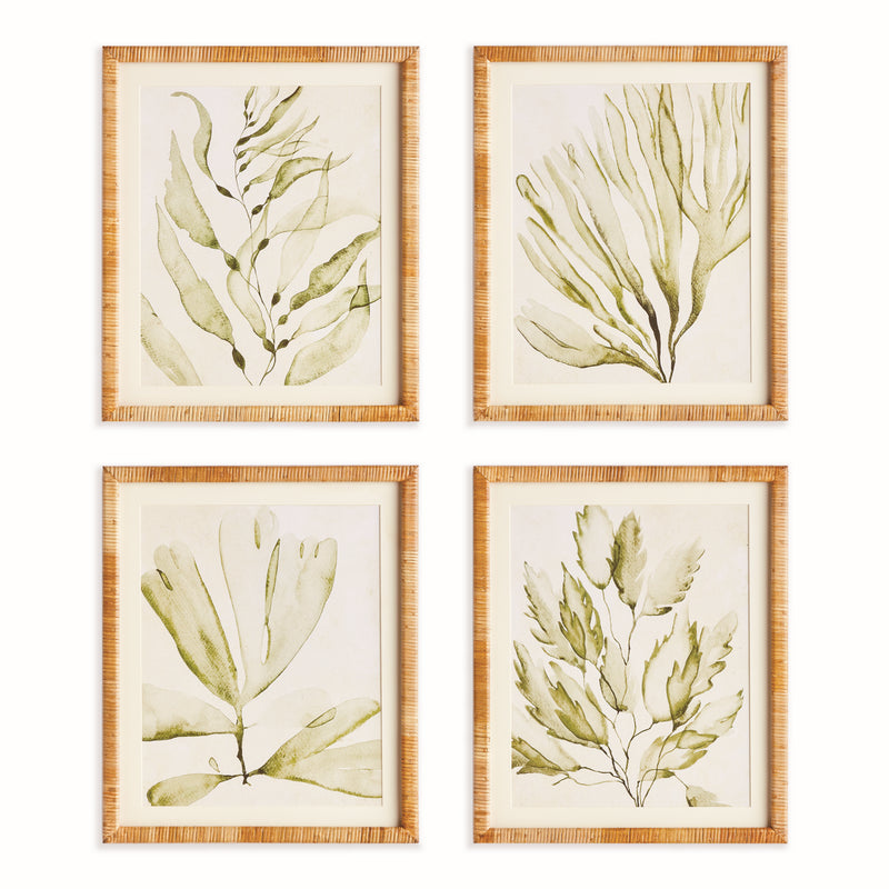 COASTAL GREENERY PRINTS, SET OF 4