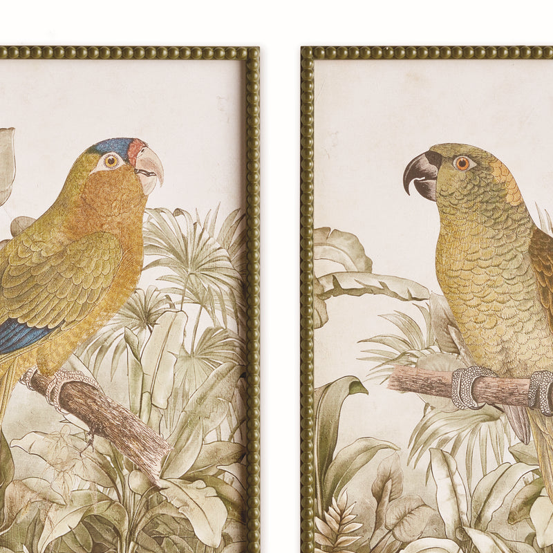 TROPICAL PARROT PRINTS, SET OF 2