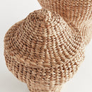 NAPA Home & Garden, WATER HYACINTH GINGER JARS, SET OF 2,N5TD14