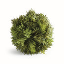 NAPA Home & Garden, CYPRESS ORB Collection