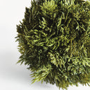 NAPA Home & Garden, CYPRESS ORB Collection