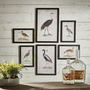 NAPA Home & Garden, WATERFOWL GALLERY, SET OF 6,NA211