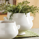 NAPA Home & Garden, WELLON FOOTED CACHEPOT Collection