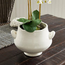 NAPA Home & Garden, WELLON FOOTED CACHEPOT Collection