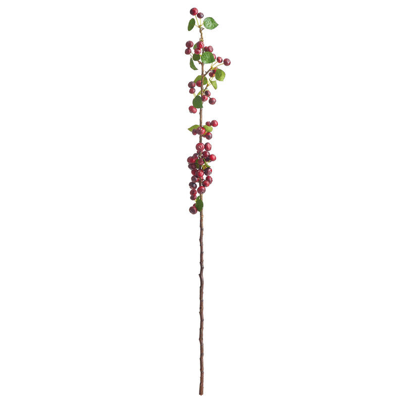 NAPA Home & Garden, CRABAPPLE BRANCH 43",NCC500