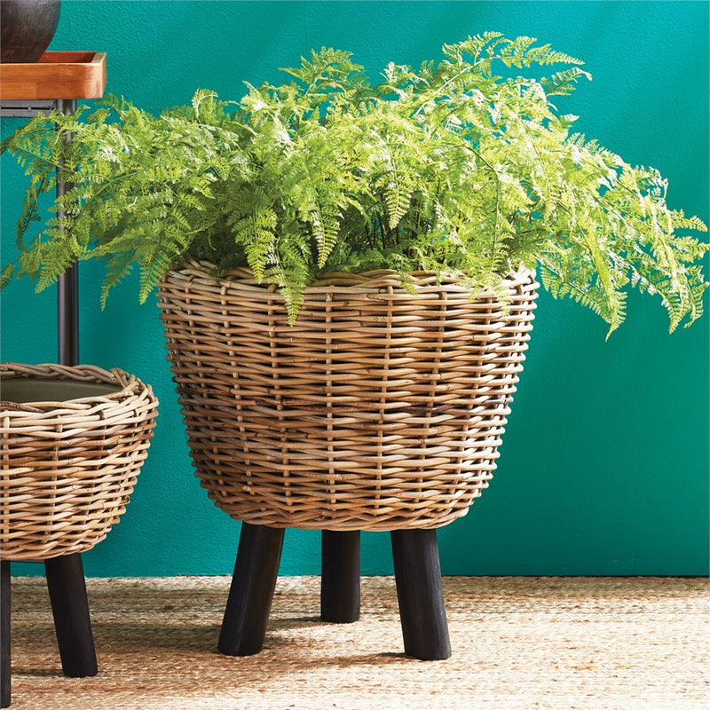 Napa Home Garden, SOFT FERN DROP-IN 36",ncc501