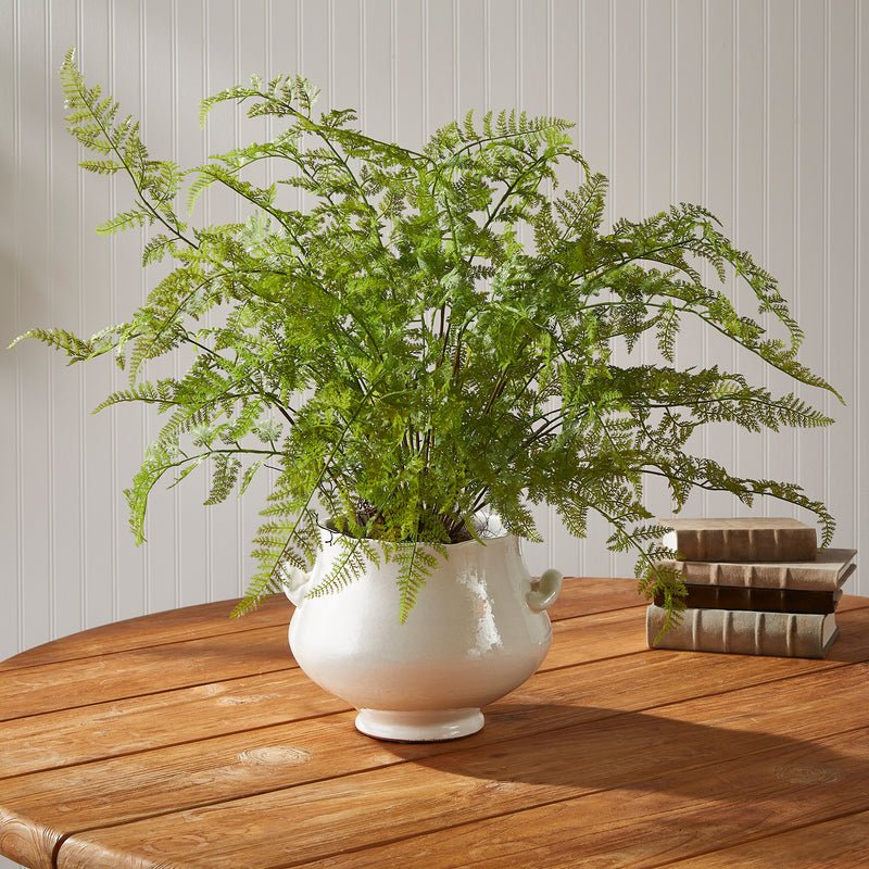 NAPA Home & Garden, SOFT FERN DROP-IN 36",NCC501