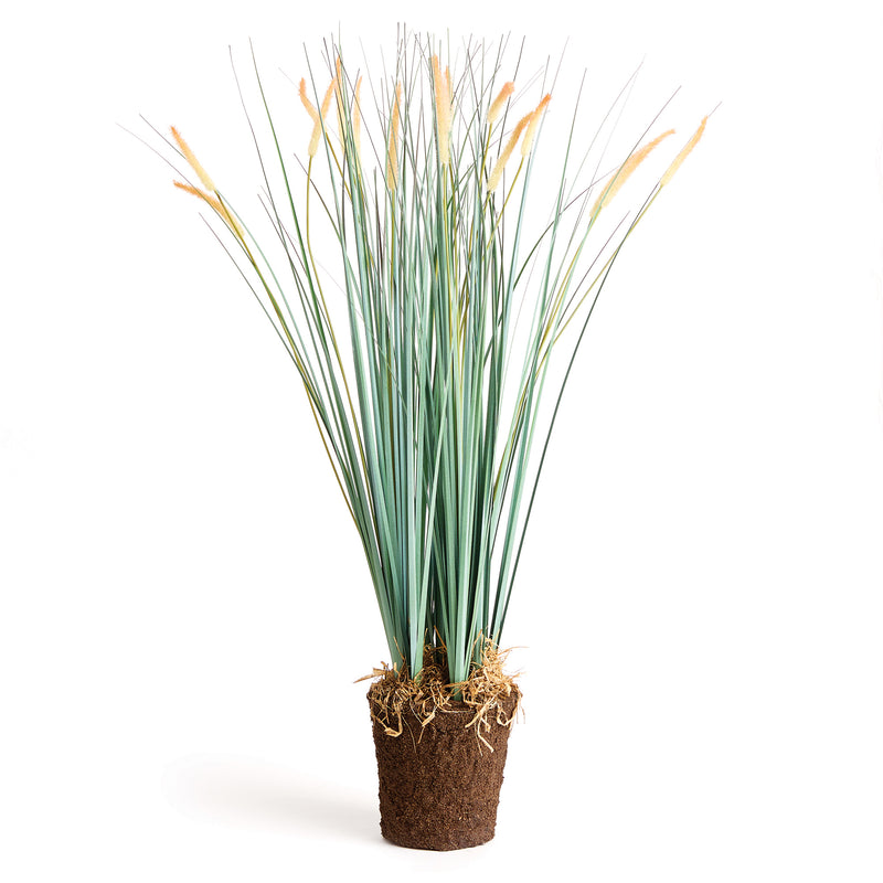 NAPA Home & Garden, FIELD GRASS DROP-IN 35",NCC502