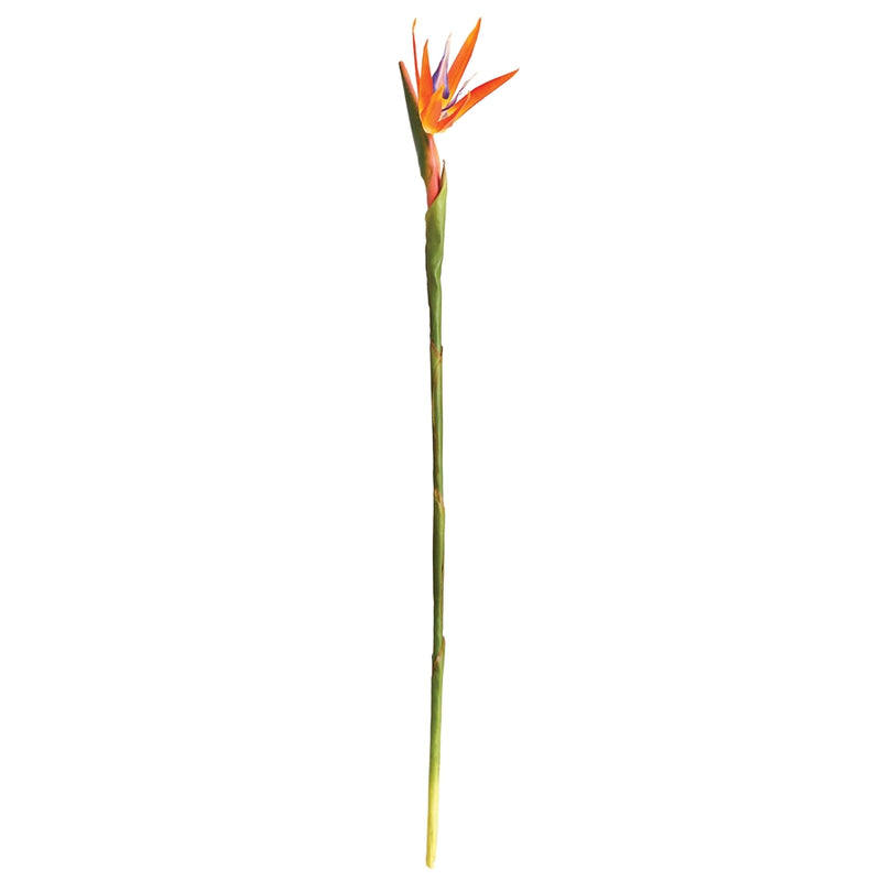 Napa Floral Collection-Bird of Paradise Stem 31.5 inches