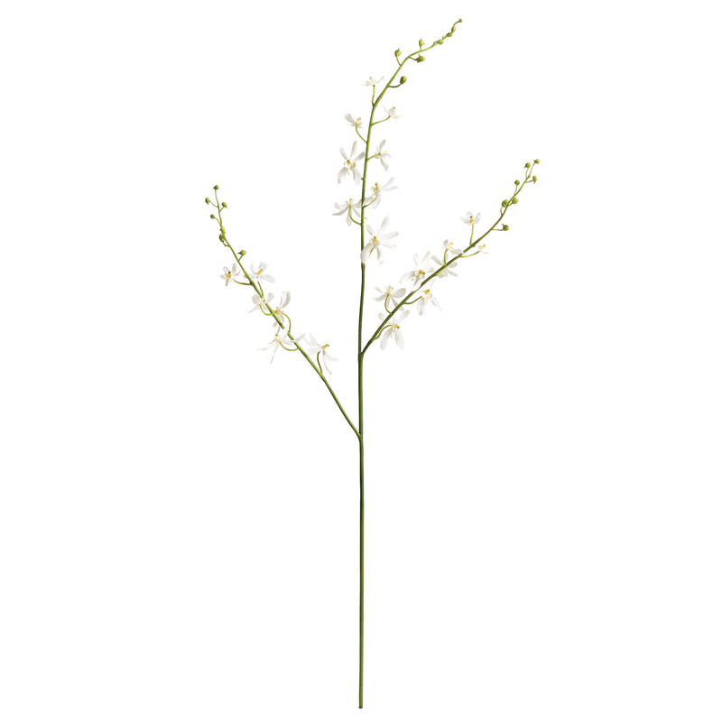 NAPA Home & Garden, ORCHID STEM 40",NCC504