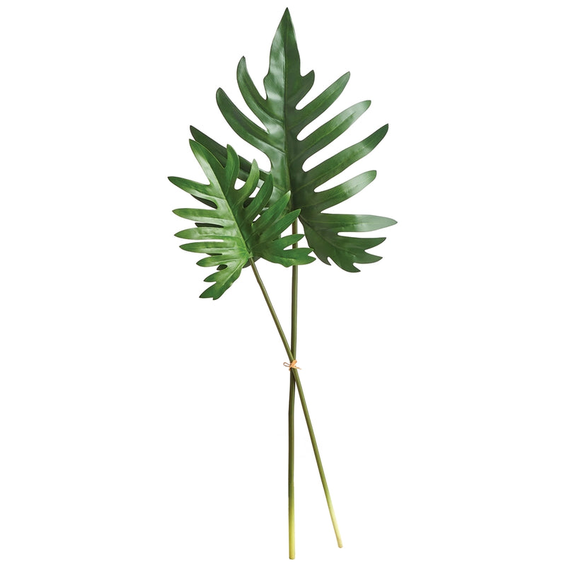 Napa Home Garden, SPLIT LEAF SELLOUM STEMS BUNDLE/2,ncc506