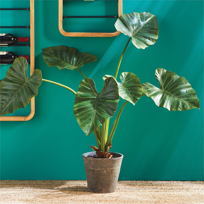 Napa Floral Collection-Alocasia Potted 42 inches