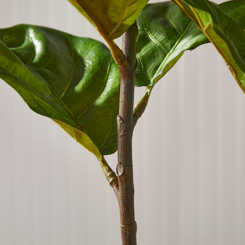 NAPA Home & Garden, FIDDLE LEAF FIG POTTED 43",NCC509