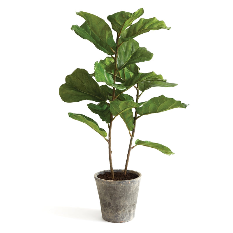 Napa Floral Collection-Fiddle Leaf Fig Potted 43 inches