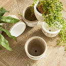 NAPA Home & Garden, SANTIAGO POTS, SET OF 6,NCD407