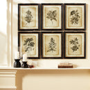 NAPA Home & Garden, SELENE HURRICANE SMALL,NCR232