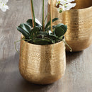 NAPA Home & Garden, EMBERLYNN CACHEPOT Collection