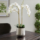 NAPA Home & Garden, EMBERLYNN CACHEPOT Collection