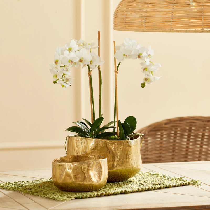 NAPA Home & Garden, AMELIA CACHEPOTS Collection