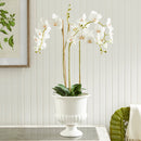 Mirabelle Decorative Pedestal Bowl by NAPA Home & Garden