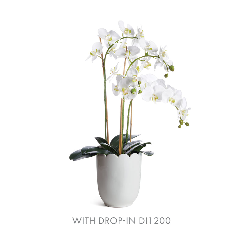 NAPA Home & Garden, MIRABELLE SCALLOPED EDGE CACHEPOT,NFD227