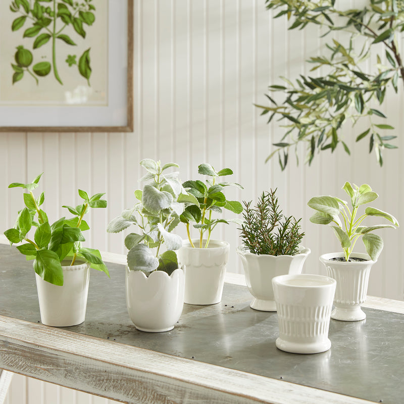 NAPA Home & Garden, MIRABELLE MINI CACHEPOTS, SET OF 6,NFD229