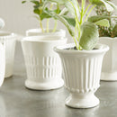 NAPA Home & Garden, MIRABELLE MINI CACHEPOTS, SET OF 6,NFD229