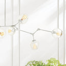 NAPA Home & Garden, DANIELLA GLOBE CHANDELIER Series