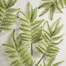 NAPA Home & Garden, TREE FERN STEM 42.5",NGP502