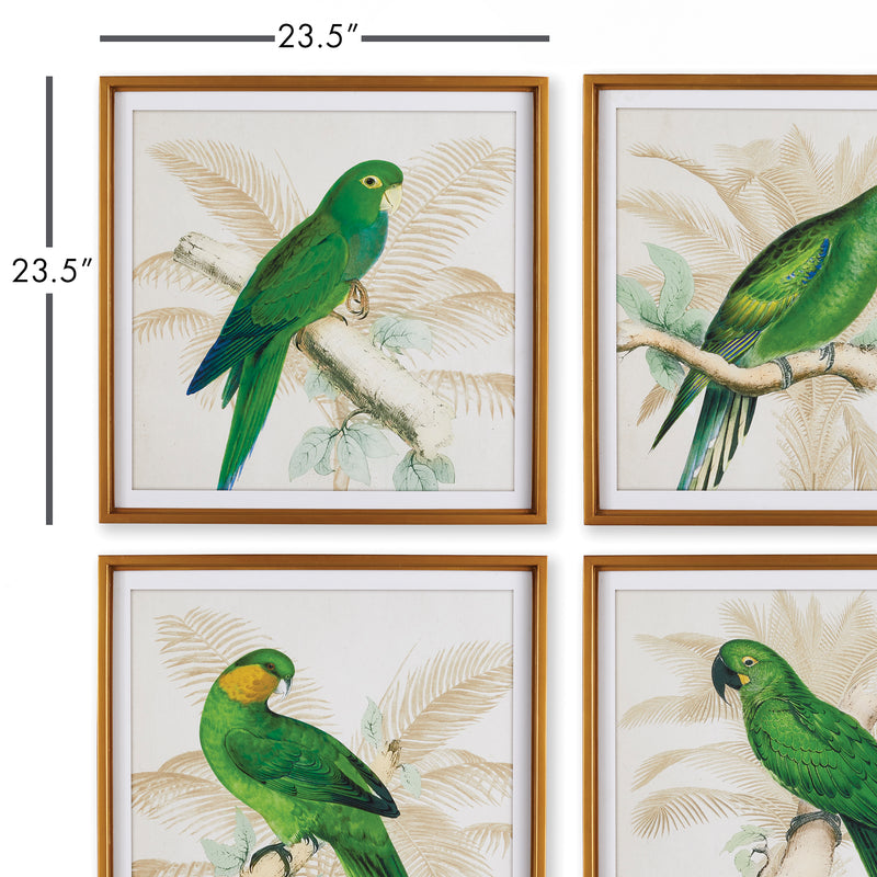 NAPA Home & Garden, GREEN PARROTS STUDY, SET OF 4,NH400