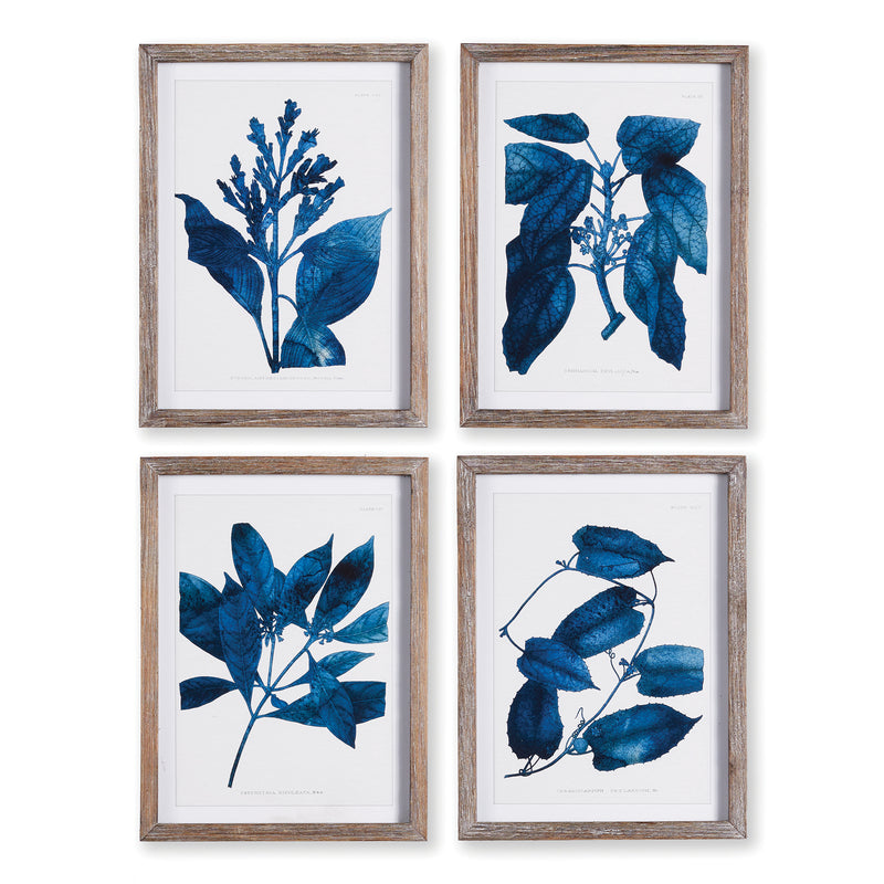 NAPA Home & Garden, INDIGO BOTANICALS, SET OF 4,NH401