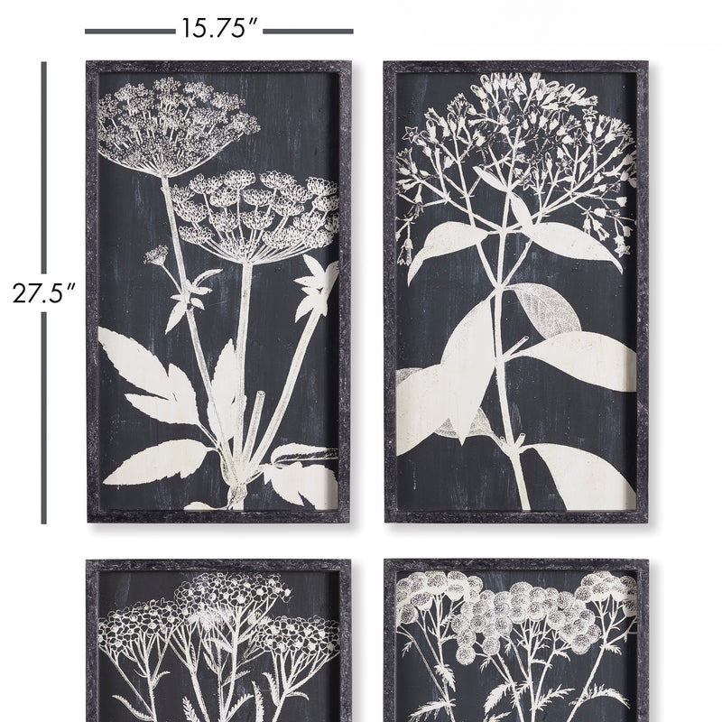 NAPA Home & Garden, MONOCHROME QUEEN ANNE'S LACE PRINTS, SET OF 4,NH404