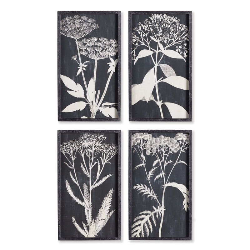 NAPA Home & Garden, MONOCHROME QUEEN ANNE'S LACE PRINTS, SET OF 4,NH404