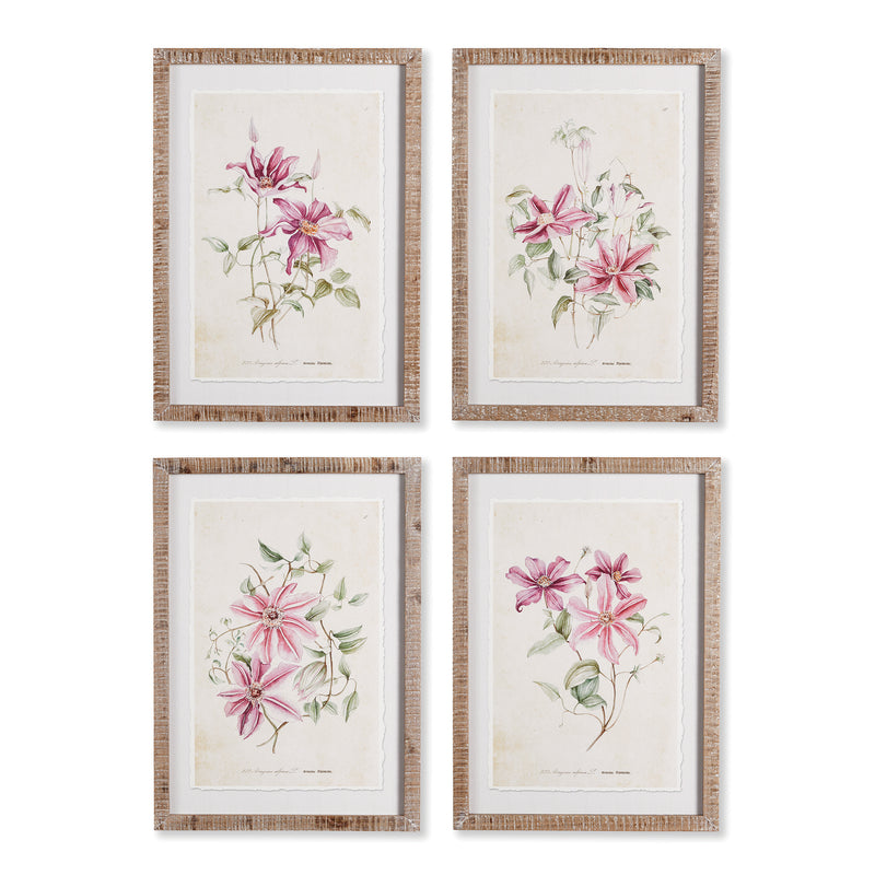 NAPA Home & Garden, PINK CLEMATIS PRINTS, SET OF 4,NH406