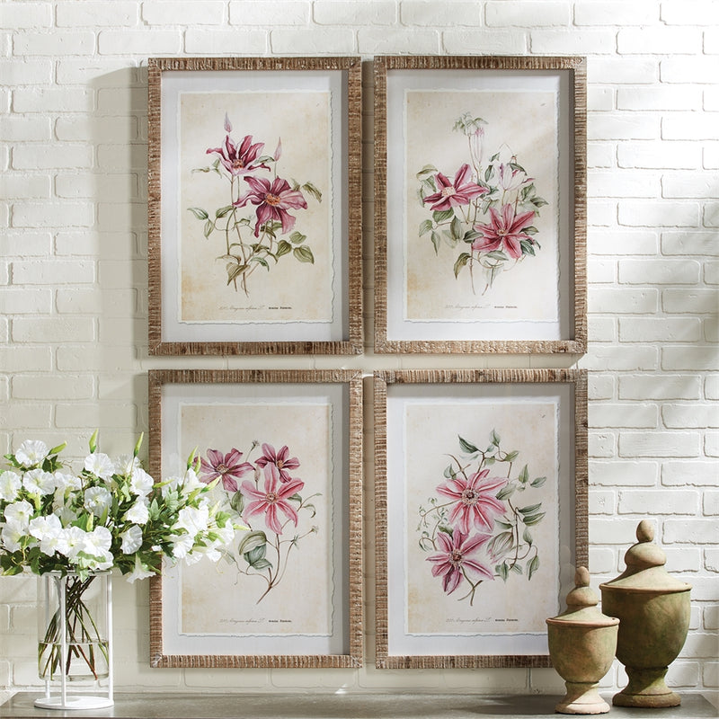 Napa Home Garden, PINK CLEMATIS PRINTS ,SET OF 4,nh406