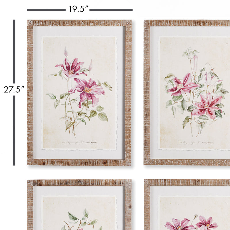 NAPA Home & Garden, PINK CLEMATIS PRINTS, SET OF 4,NH406