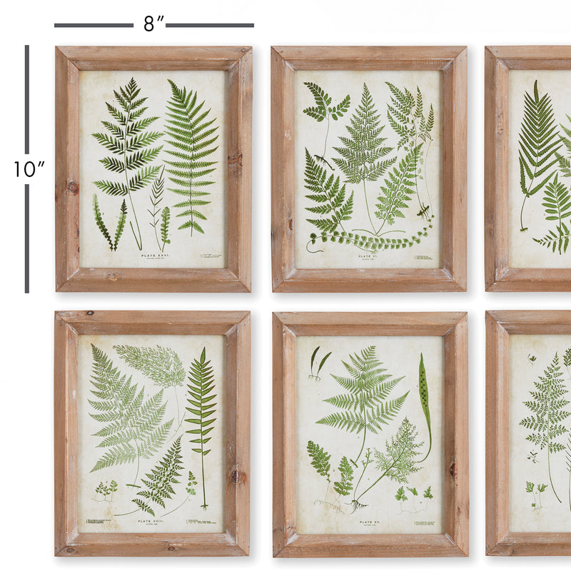 NAPA Home & Garden, FOREST GREENERY PRINTS, SET OF 6,NH413