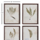 NAPA Home & Garden, PETITE FROND PRINTS, SET OF 4,NH418