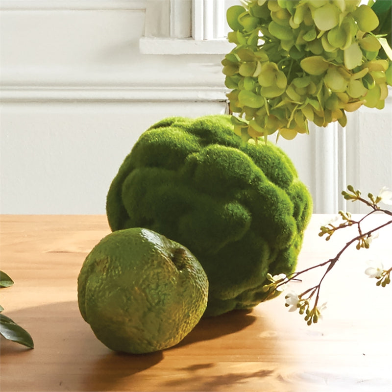 Napa Home Garden, MOOD MOSS ORB 7",nj218