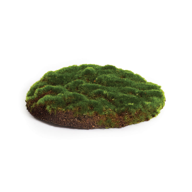 NAPA Home & Garden, MOSS SHEET ROUND 8",NJ221