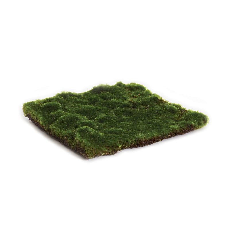 NAPA Home & Garden, MOSS SHEET SQUARE 8",NJ223