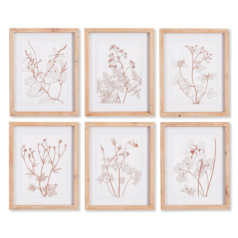 Napa Home Garden, BOTANICALS IN BLUSH PRINTS ,SET OF 6,nnh503