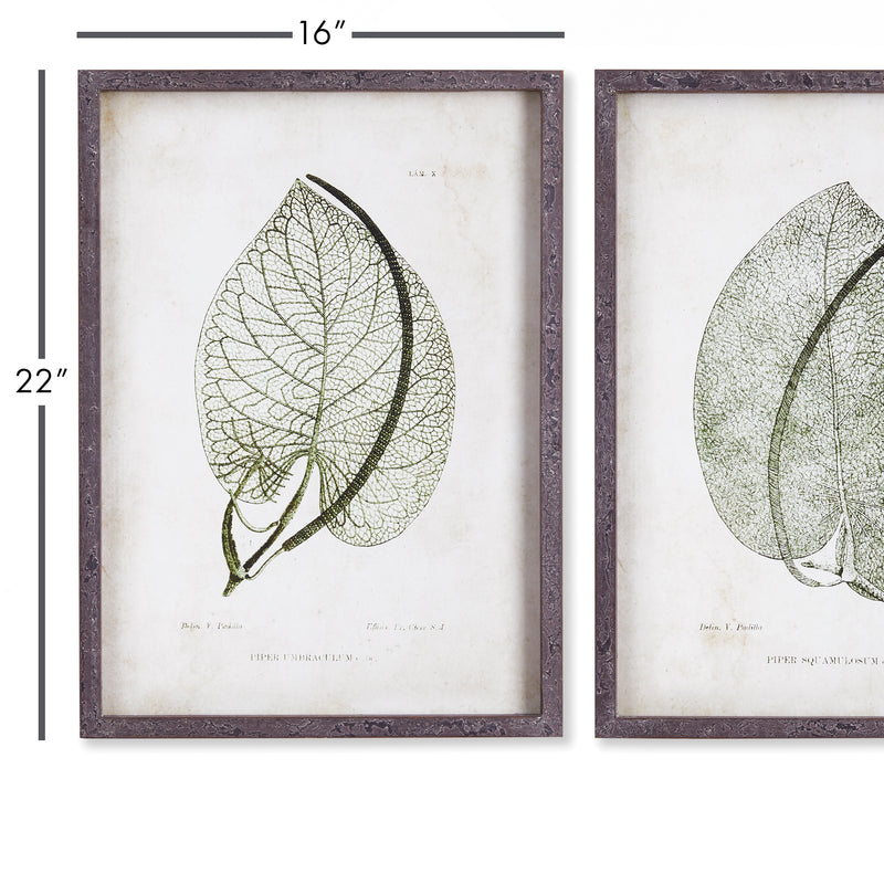 NAPA Home & Garden, CORDATE LEAF STUDY, SET OF 2,NNH505