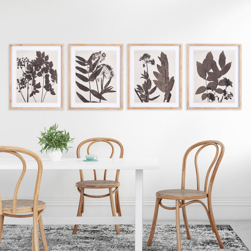 NAPA Home & Garden, PRESSED FOLIAGE PRINTS, SET OF 4,NNH507