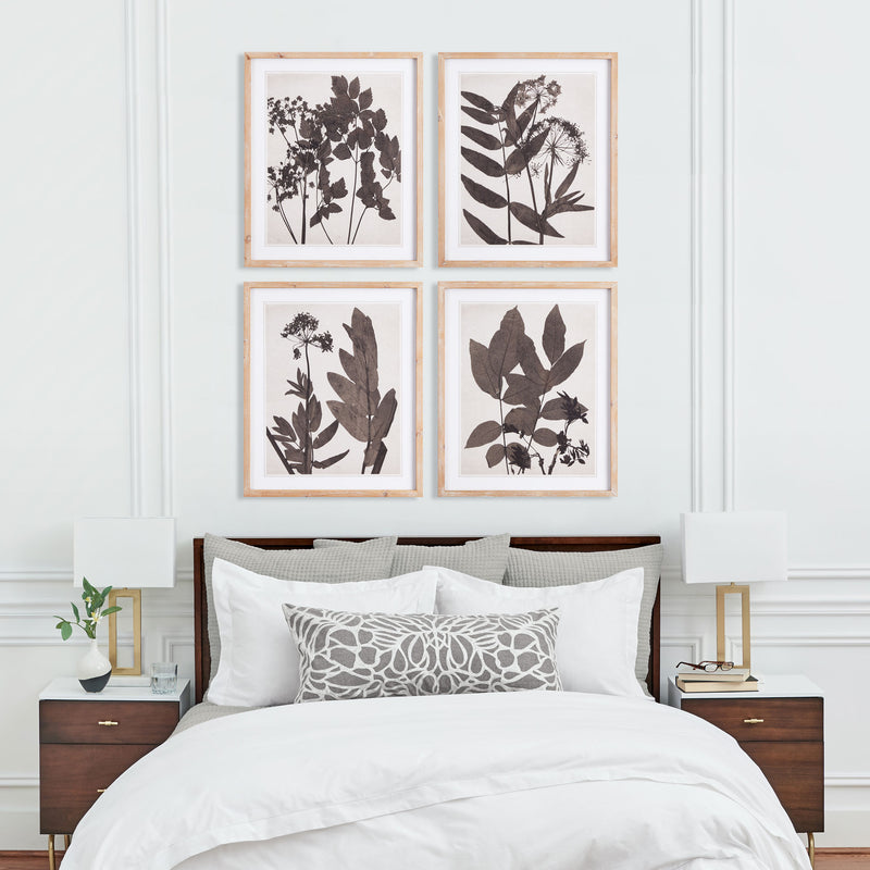 NAPA Home & Garden, PRESSED FOLIAGE PRINTS, SET OF 4,NNH507