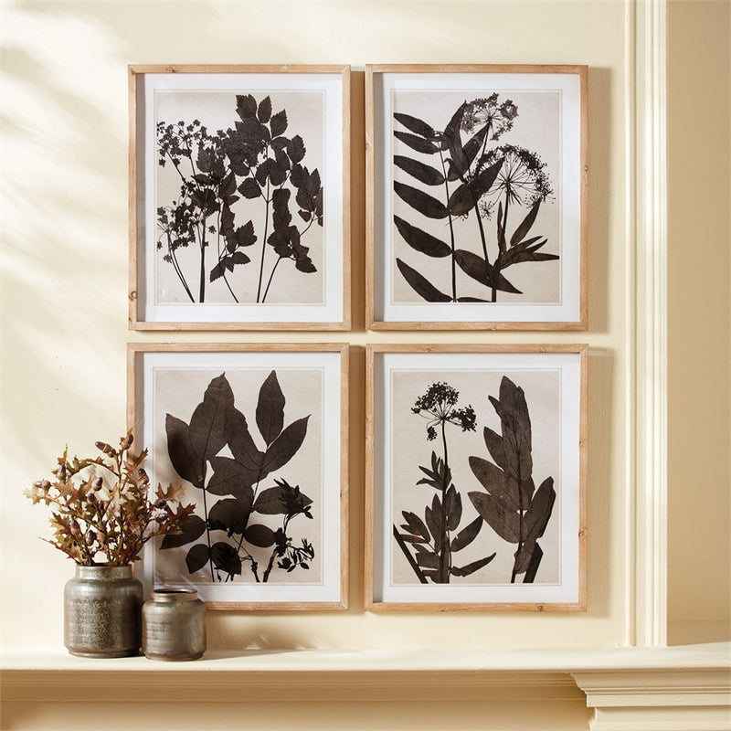 Napa Home Garden, PRESSED FOLIAGE PRINTS ,SET OF 4,nnh507