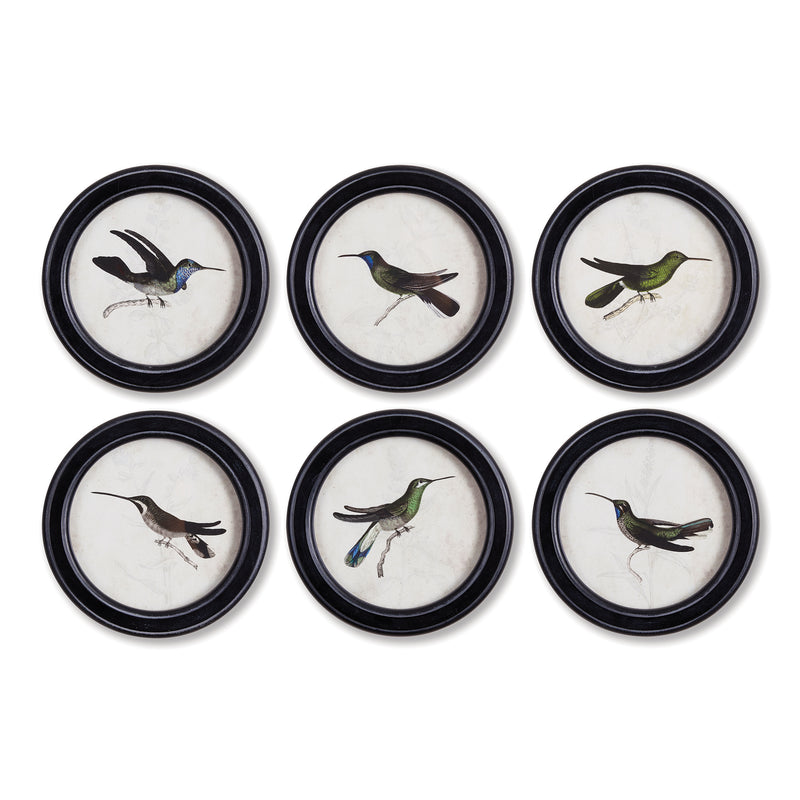 NAPA Home & Garden, HUMMINGBIRD ROUND PETITE PRINTS, SET OF 6,NNH508