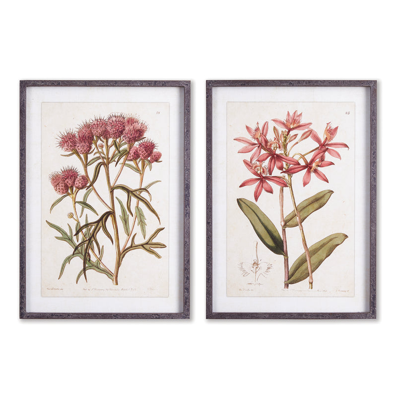 NAPA Home & Garden, PRETTY IN PINK VINTAGE PRINTS, SET OF 2,NNH510