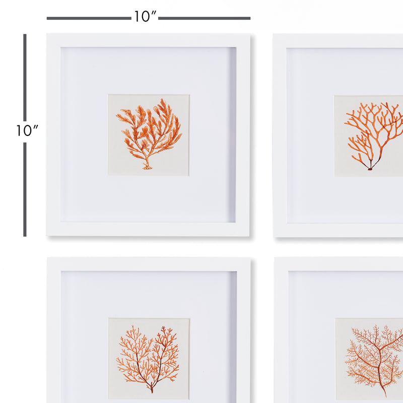 NAPA Home & Garden, BRANCH CORAL PETITE PRINTS, SET OF 4,NNH515